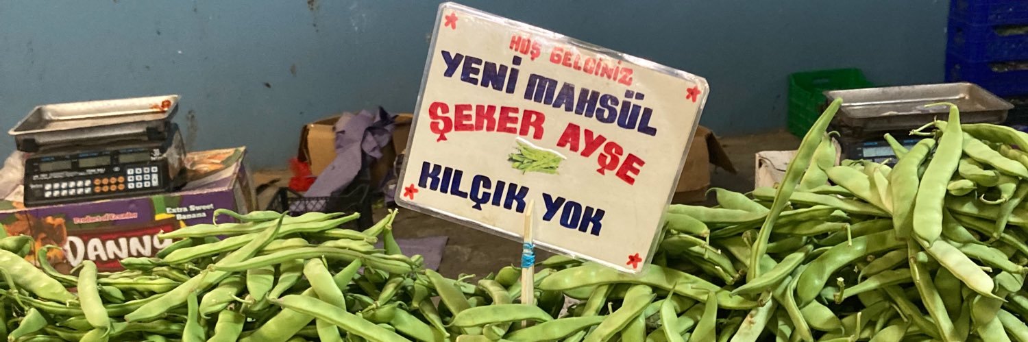 ayşe taçar banner