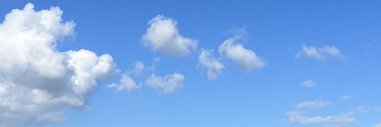 Thomas Moormann banner