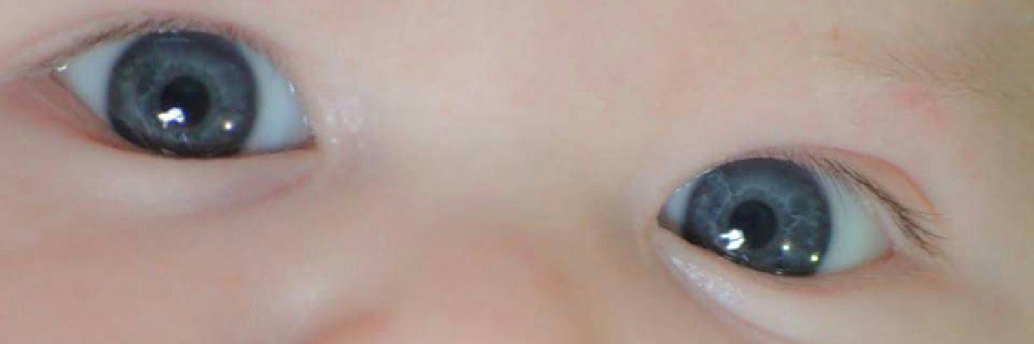 aldanagentile's profile banner image