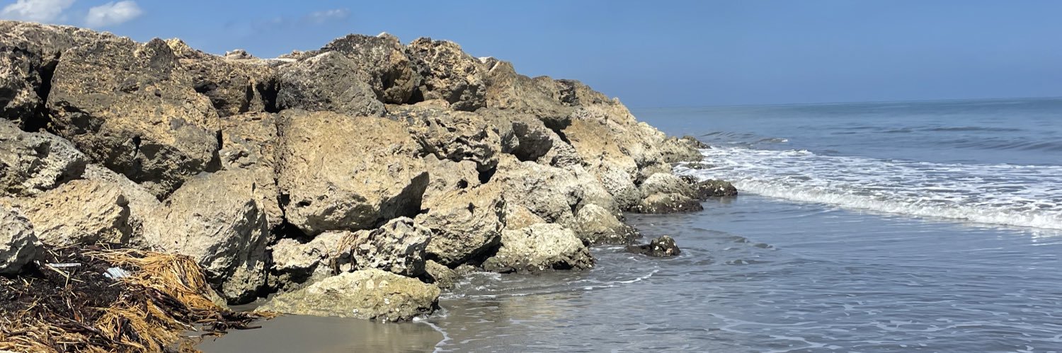 JenBustos2020 banner