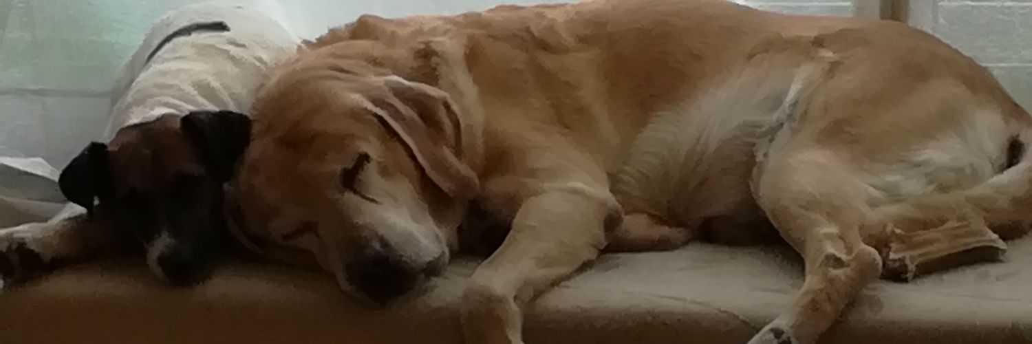 ChaillouJrmy1's profile banner image