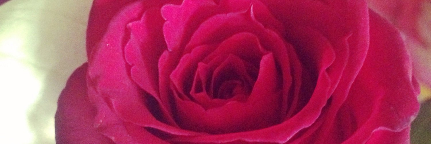 IngriSabido's profile banner image