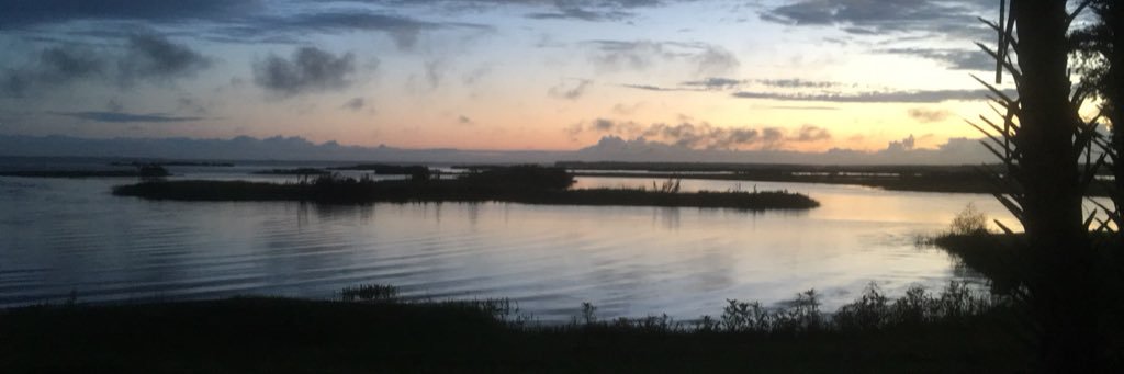 Julia_king__'s profile banner image