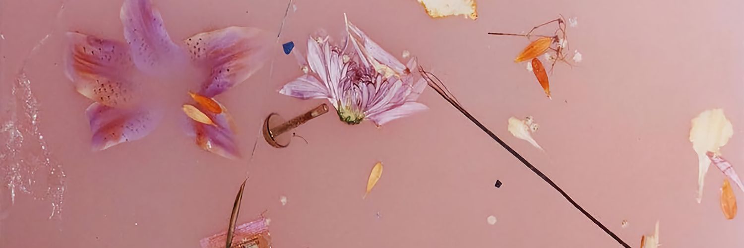 lealelait's profile banner image
