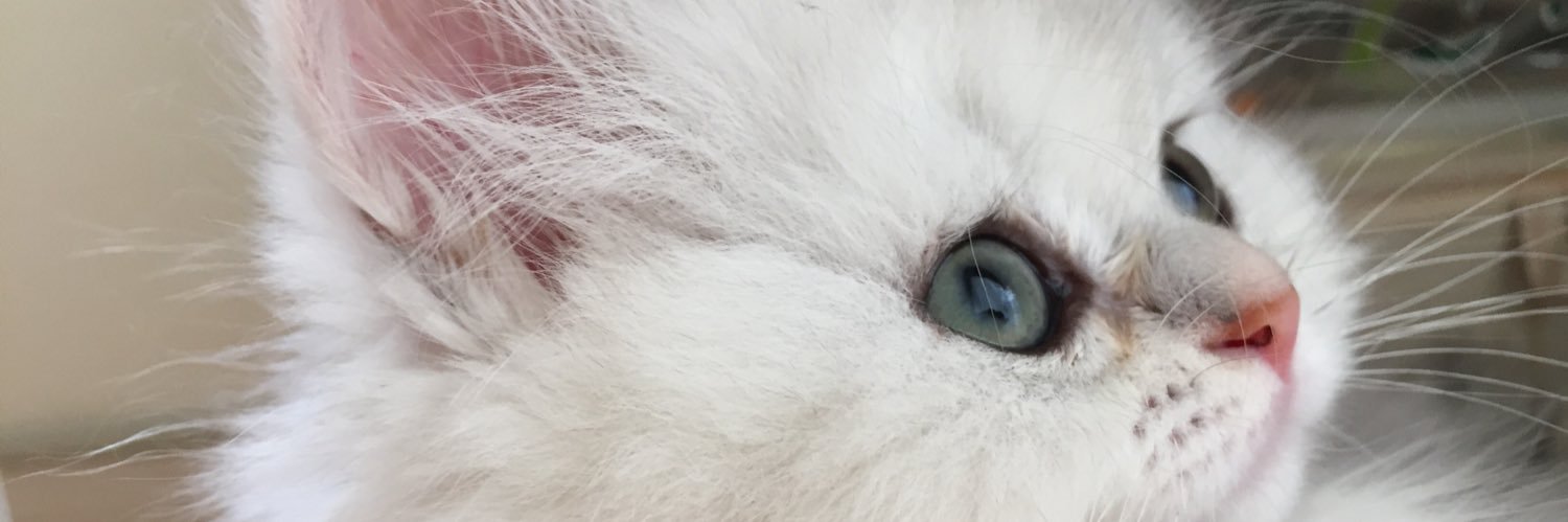 Hiro_mion's profile banner image