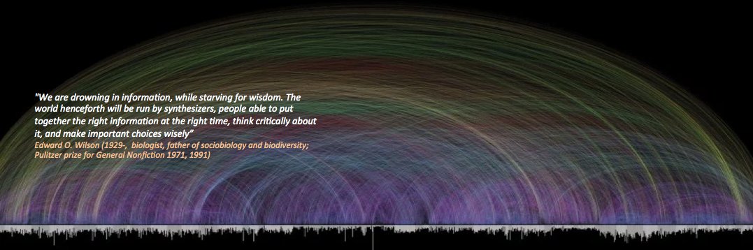 Teresa M Coque banner