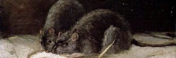 RatTraptheclown Profile Banner
