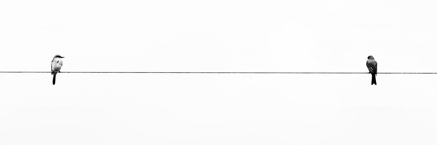 DefNotSeM's profile banner image