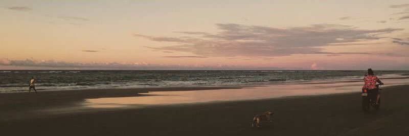 pedro💤a banner