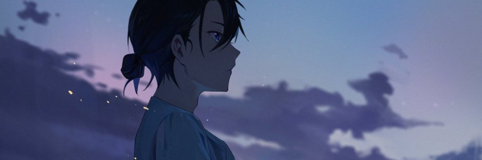 Merlinho banner