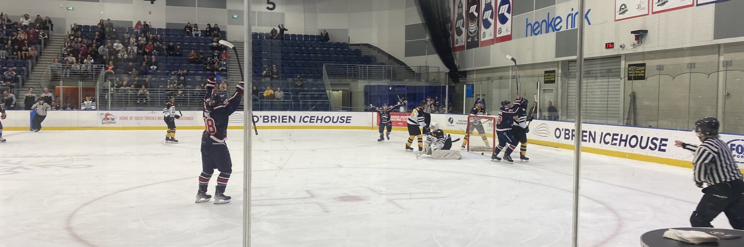 Melbourne Ice banner