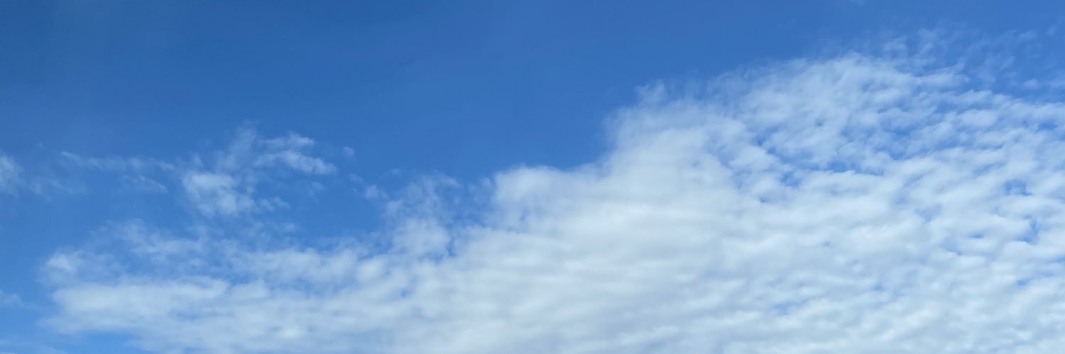 the Doorless Tsukiji banner