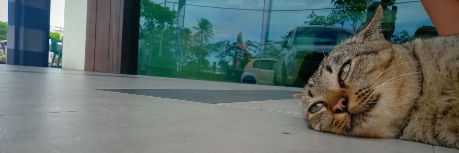 famihooo's profile banner image