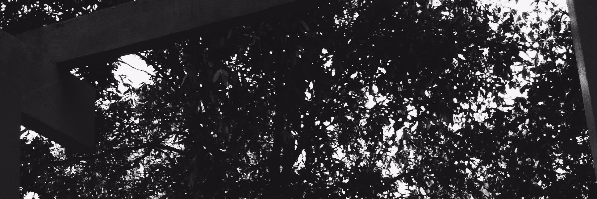 becodaconfusao's profile banner image