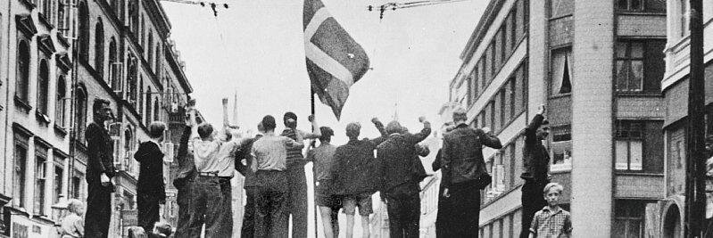 Kristoffer Beck banner