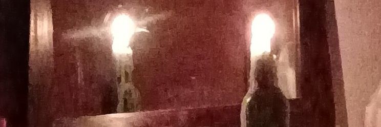 ℓυ 🦝's banner
