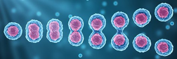 stemgen2023 Profile Banner