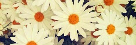 _Lphm's profile banner image