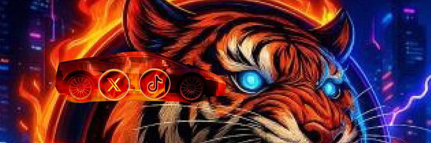 DON TIGER IN LIVE 💥 banner