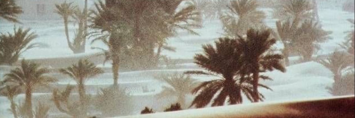 Alanoudreb's profile banner image
