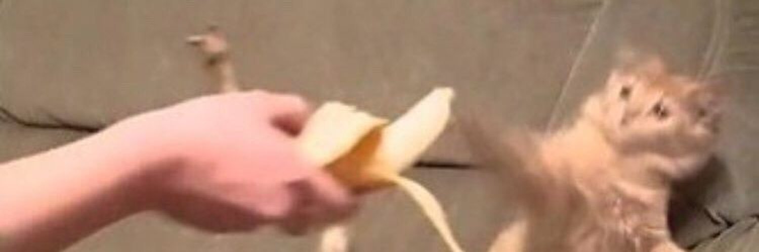 Setsuna (せつ) 🌸 🔜 Kawaii Kon banner