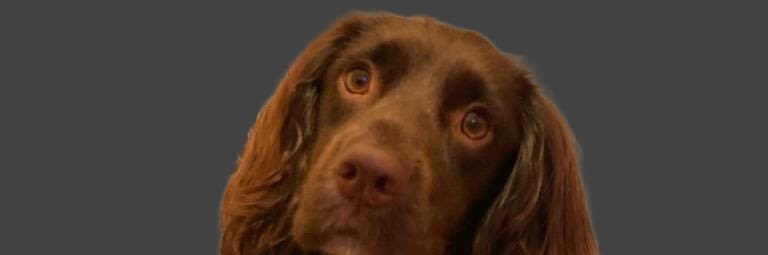 04Johnson's profile banner image