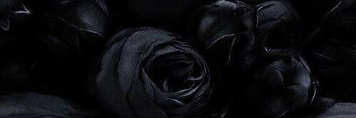 𝙒𝘼𝙍𝙍𝙄𝙊𝙍 𝙂𝙄𝙍𝙇|| خاله قزی🌶️ banner