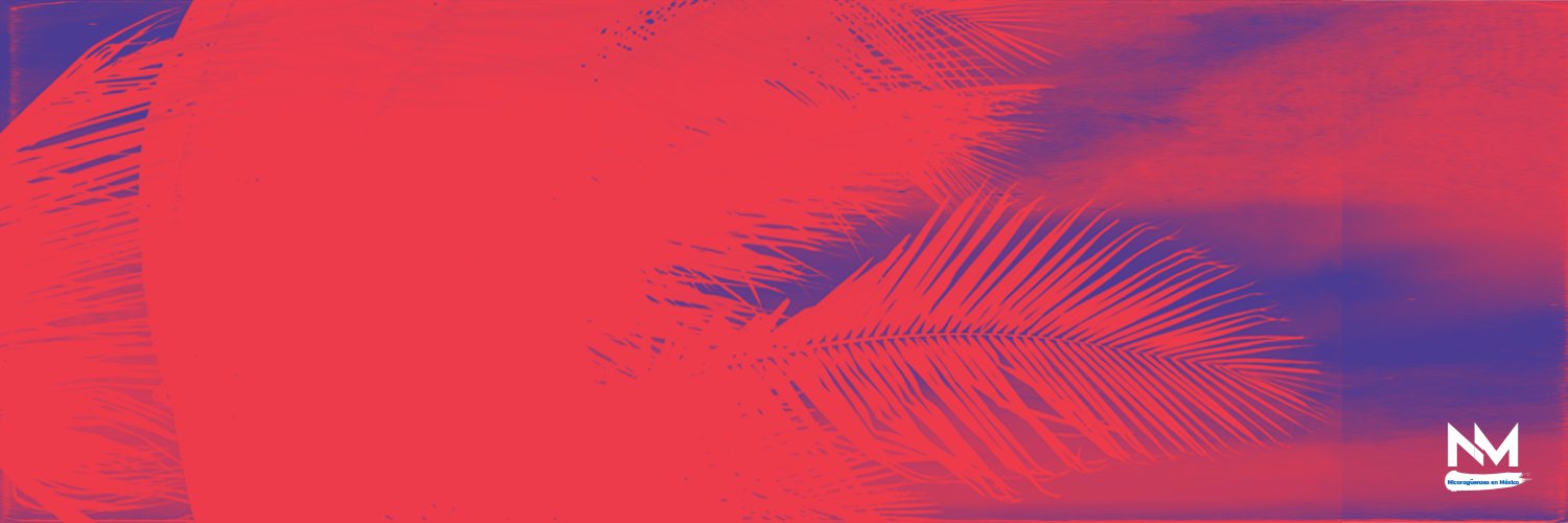 Nicaragüenses en México, A.C. banner