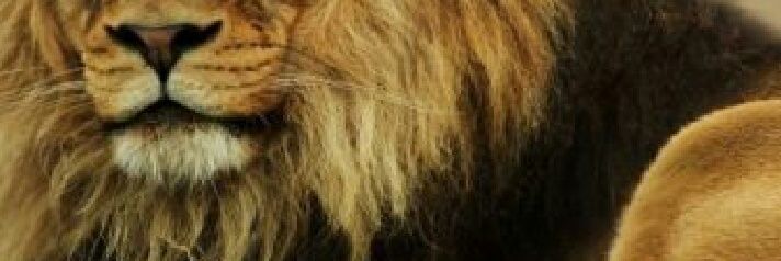 MuratDingec1's profile banner image