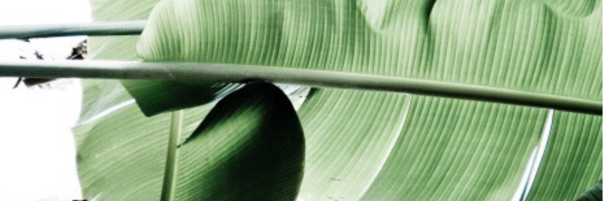 __hanan's profile banner image