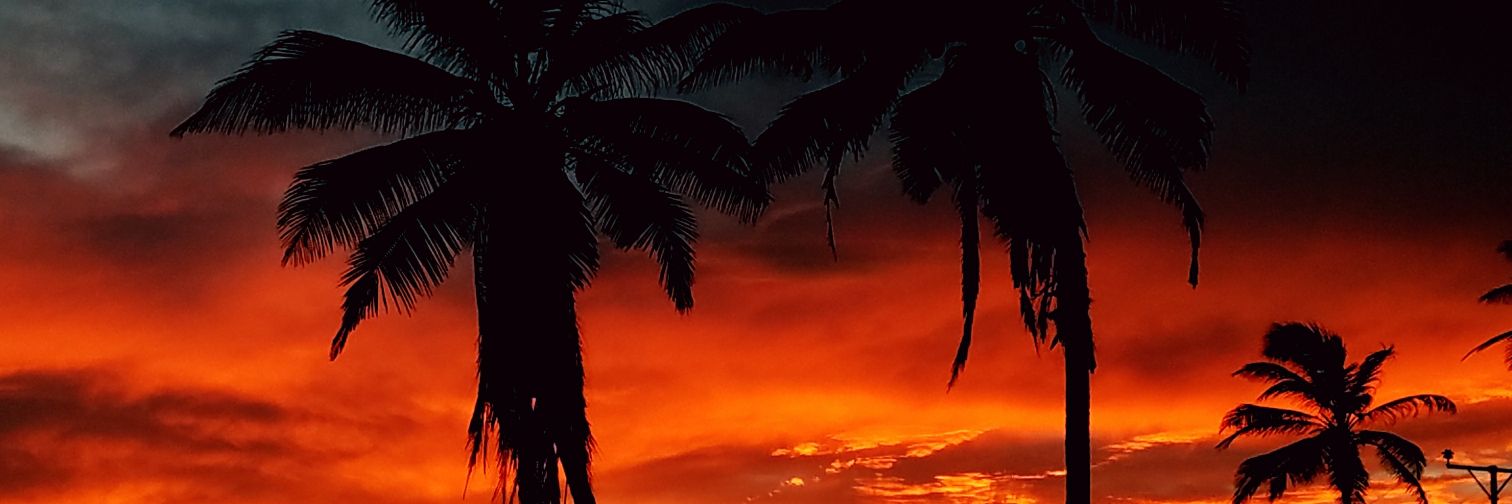 tibizion's profile banner image