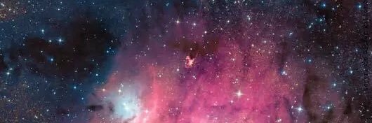 abbytreadwell's profile banner image