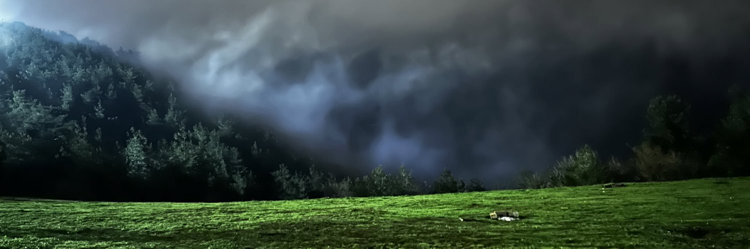 tivitfalan's profile banner image