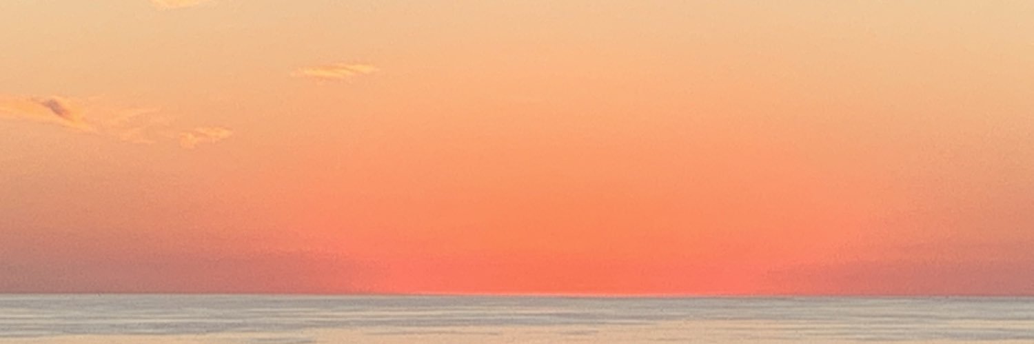 Stacy O’Brien banner