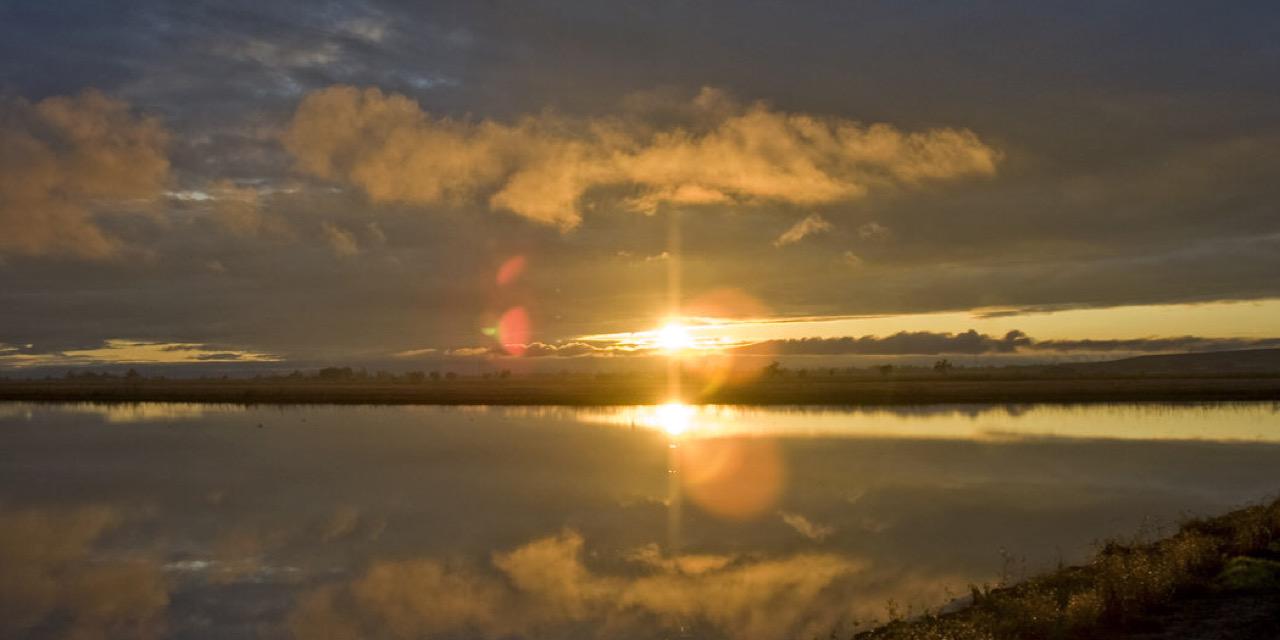SCBEER's profile banner image