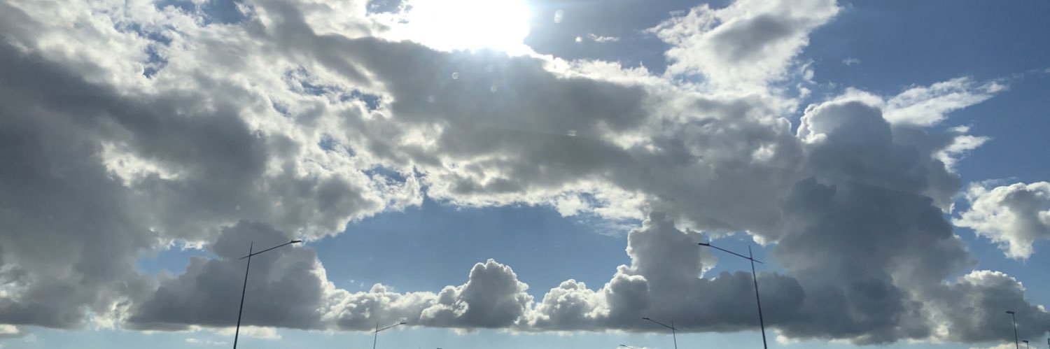 FlaminiaDSpigno's profile banner image