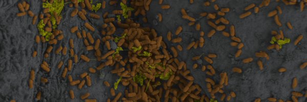 MasetRamon Profile Banner