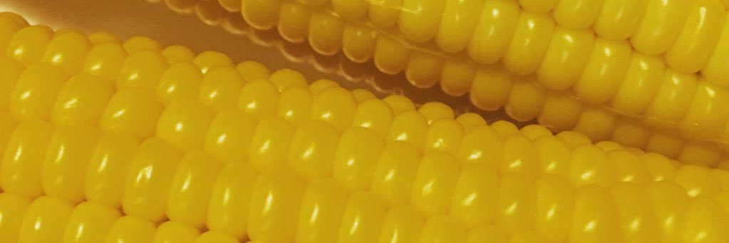 nknayc's profile banner image