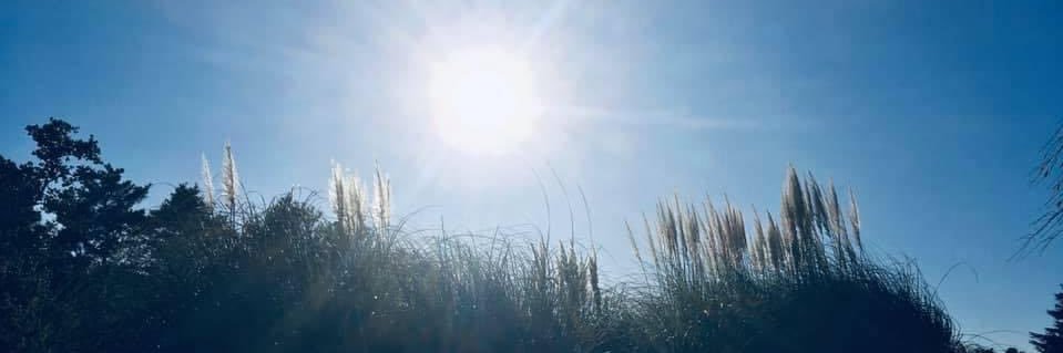 瀬奈ヒロキ banner