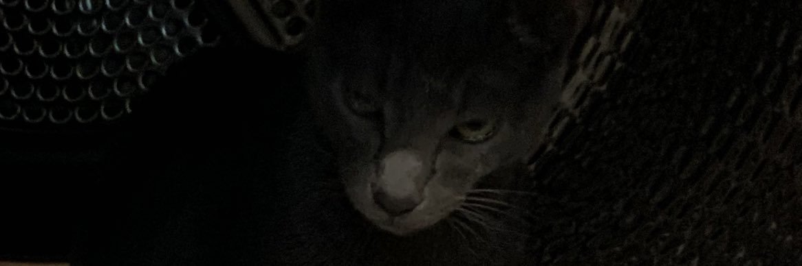 fartaceutical banner