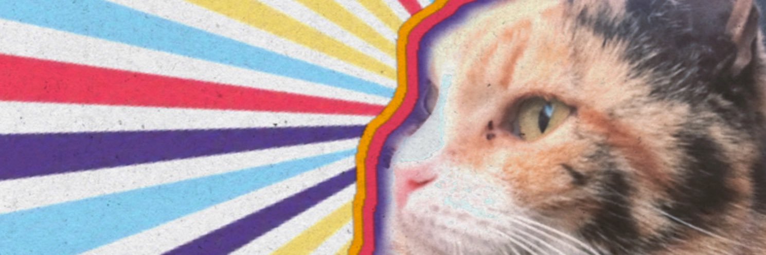 AlkYorulmus's profile banner image