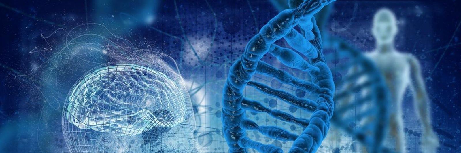 Noel Alejandro Alarcón Cabrera banner