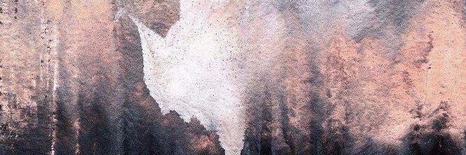 🕊 banner