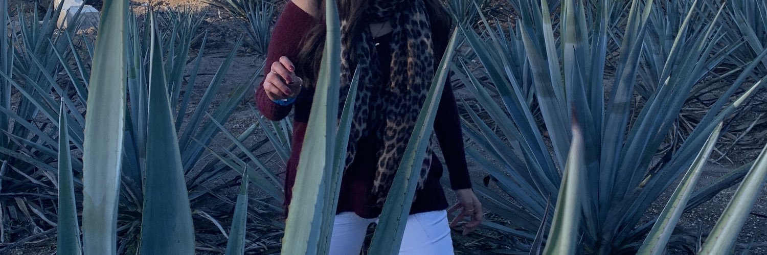nancyhv's profile banner image