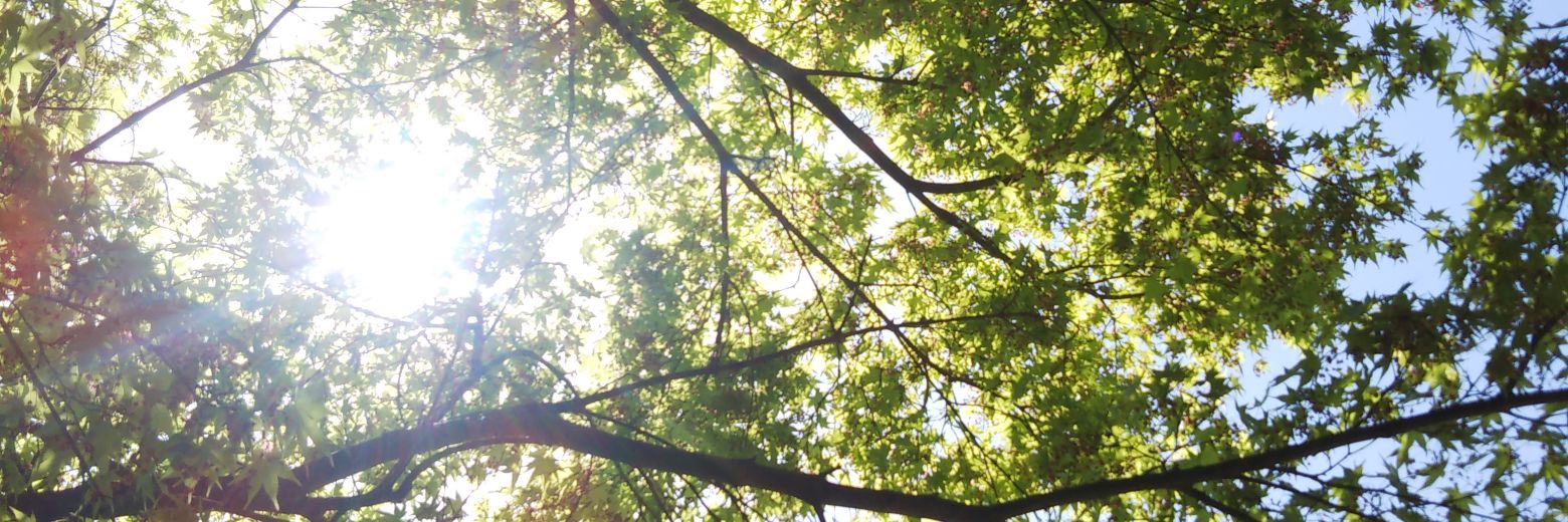 __Autumn__x's profile banner image