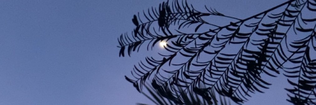 rmrm_021's profile banner image