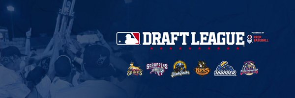 MLB Draft League Profile Banner