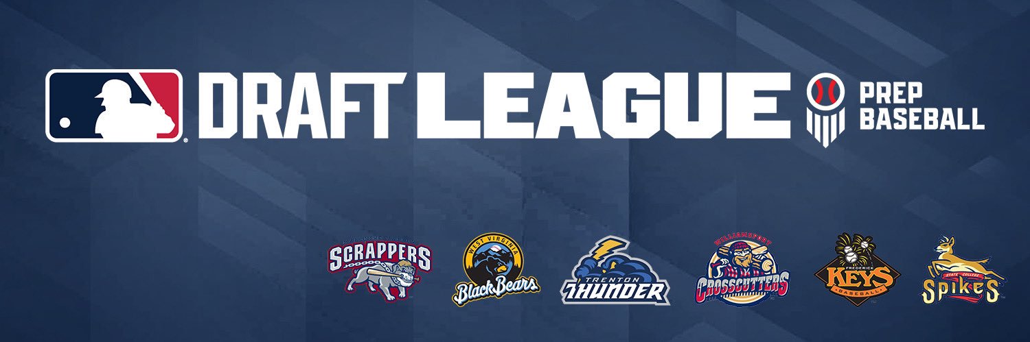 MLB Draft League's banner