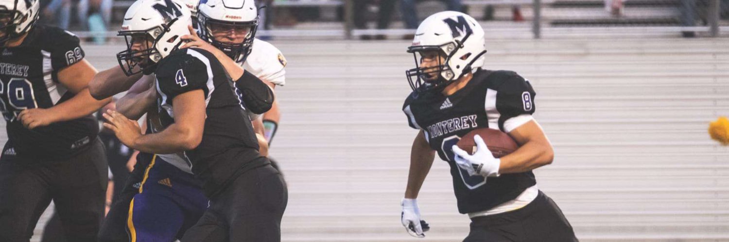 Michael Allred banner