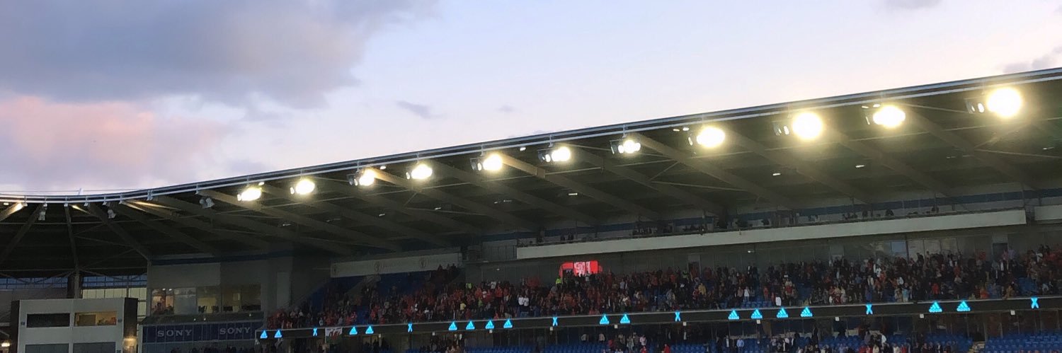 Ellie banner